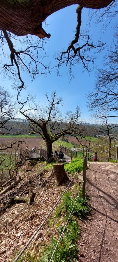 Froschkoenig Mit Teichblick Apartman Trendelburg Kültér fotó