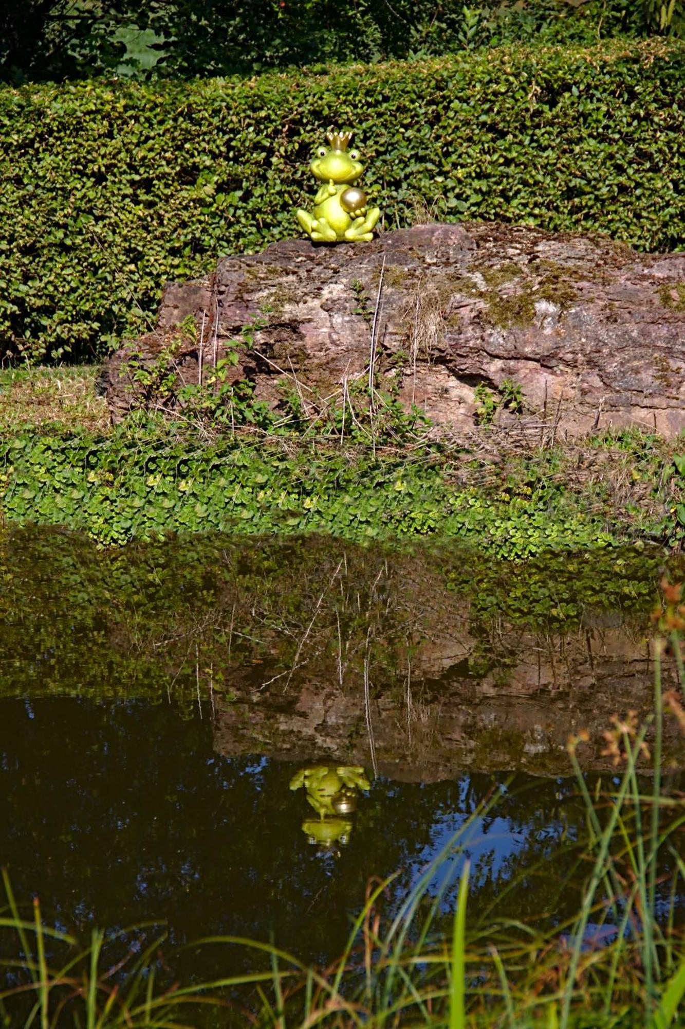 Froschkoenig Mit Teichblick Apartman Trendelburg Kültér fotó
