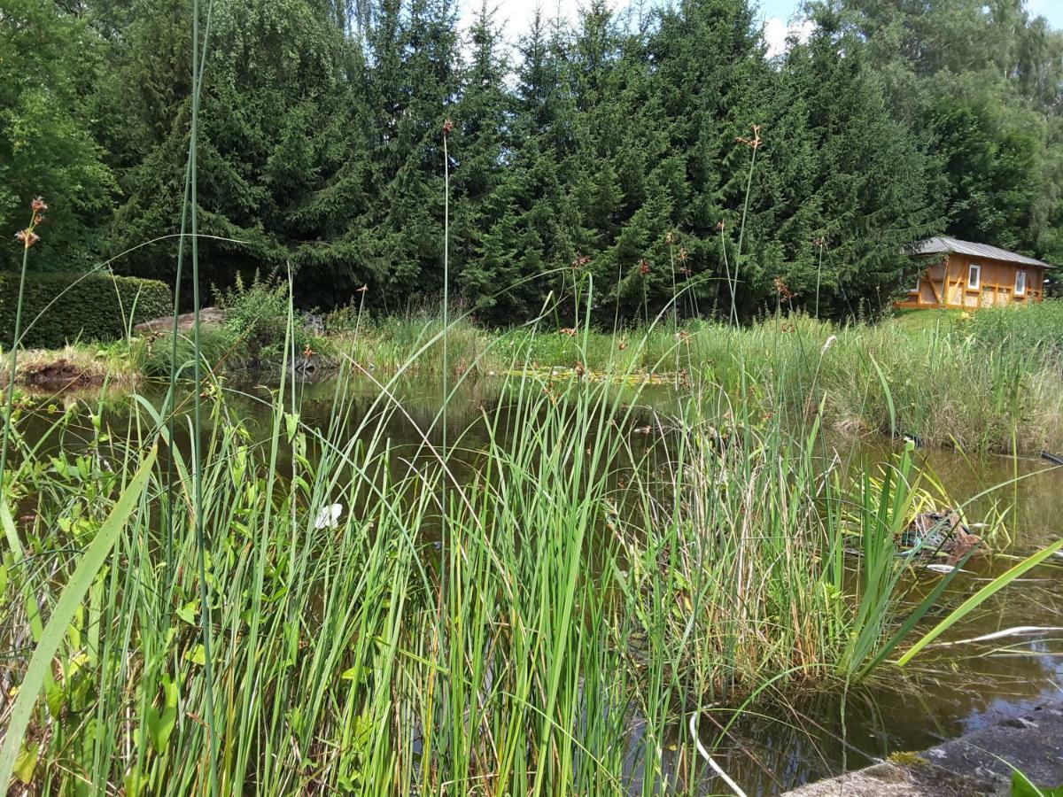 Froschkoenig Mit Teichblick Apartman Trendelburg Kültér fotó