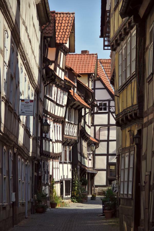 Froschkoenig Mit Teichblick Apartman Trendelburg Kültér fotó