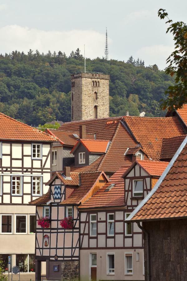 Froschkoenig Mit Teichblick Apartman Trendelburg Kültér fotó